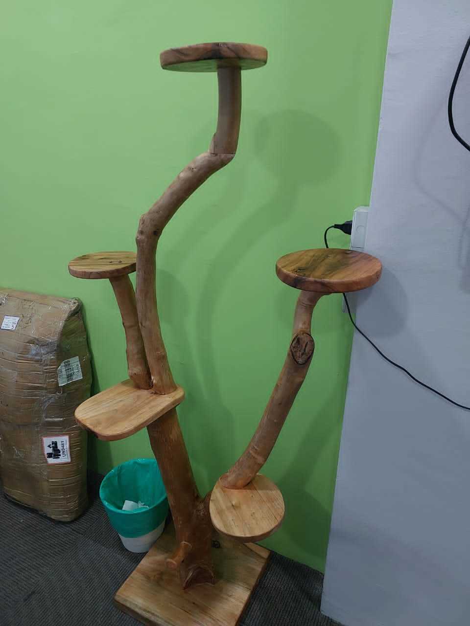 胡桃木实木猫爬架walnut wood cat tree