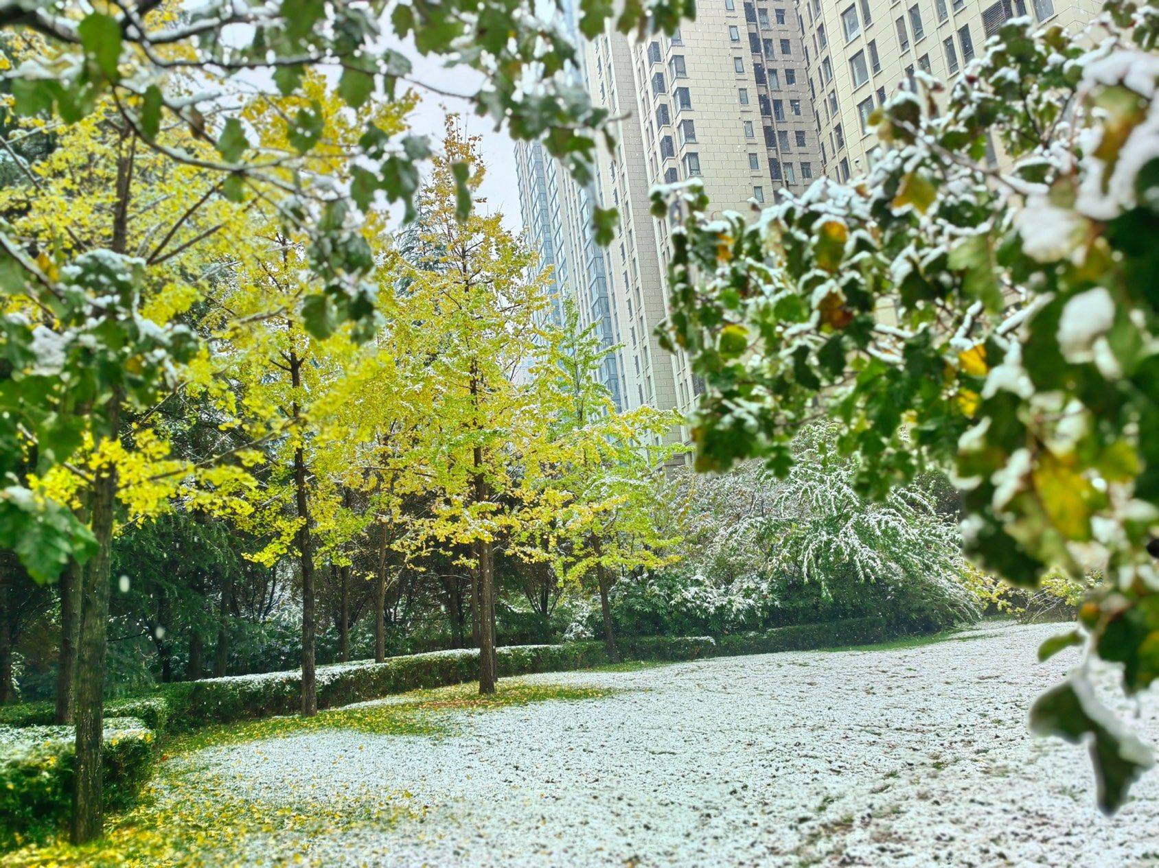 西安的第一场雪❄️
