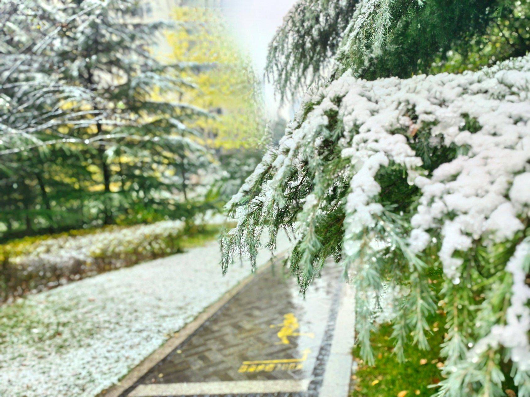 西安的第一场雪❄️