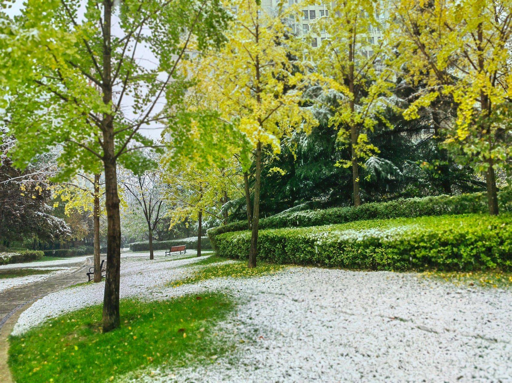 西安的第一场雪❄️