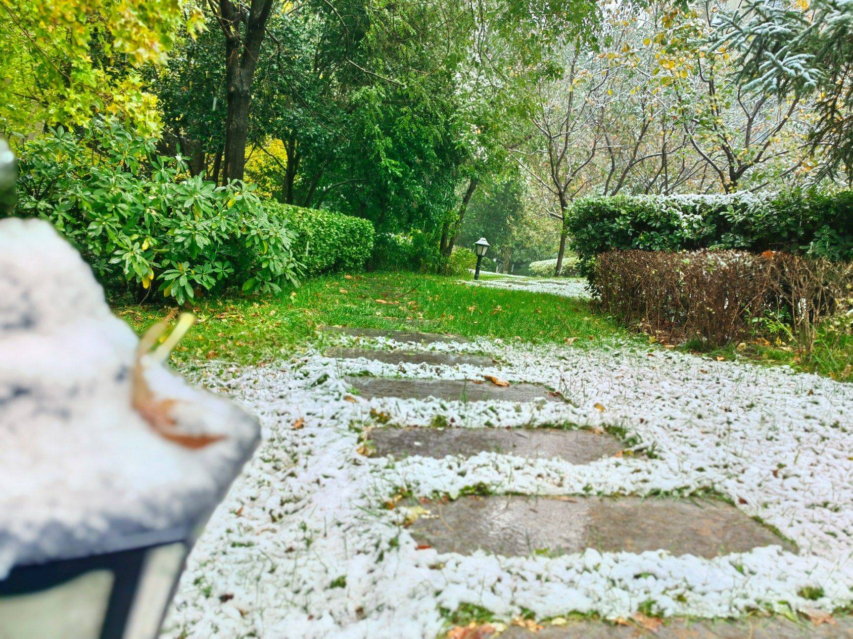 西安的第一场雪❄️