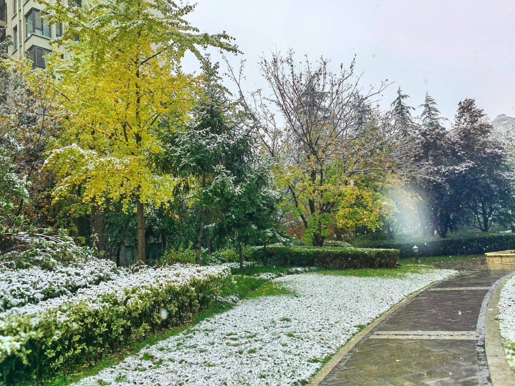 西安的第一场雪❄️