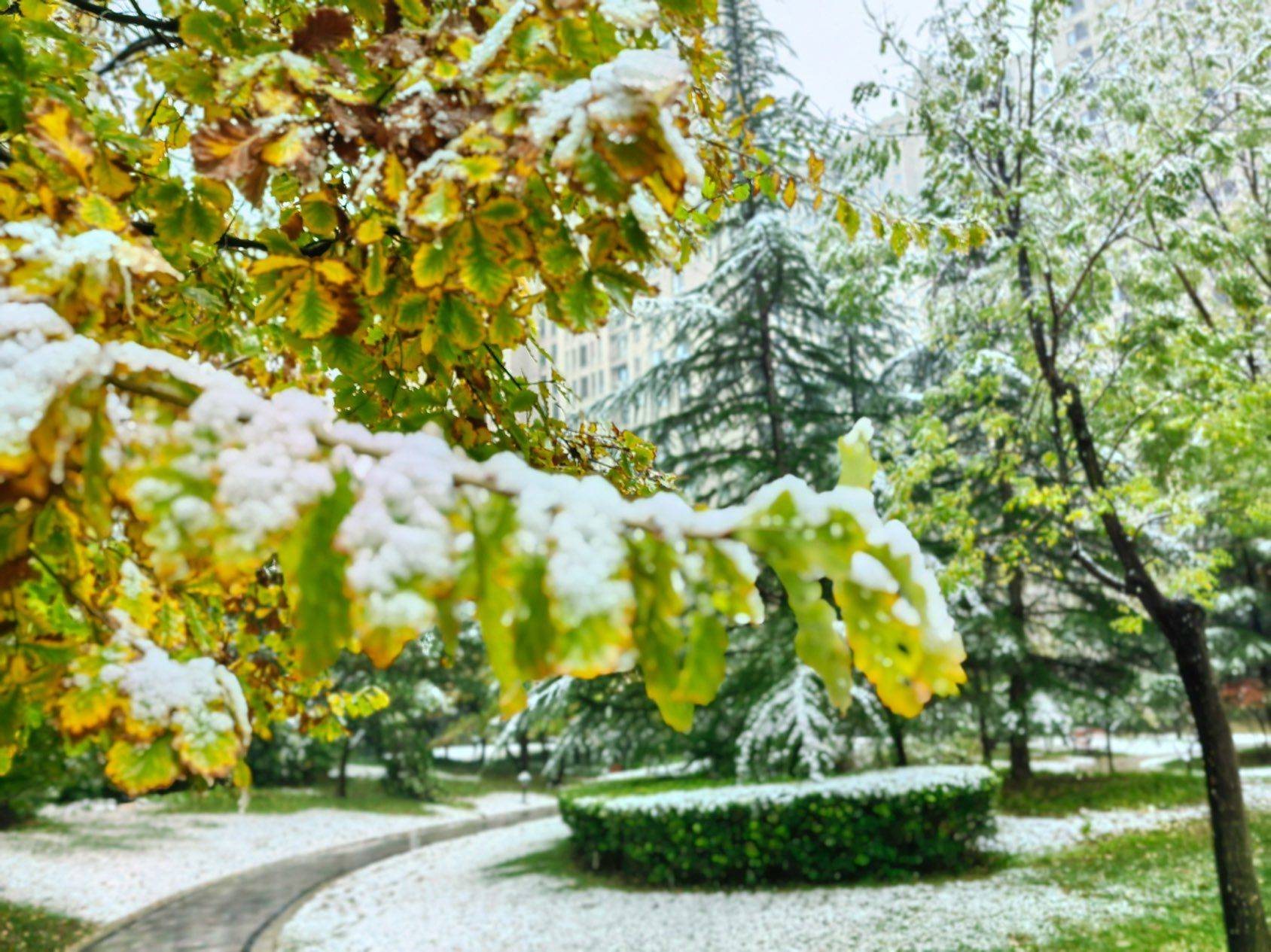 西安的第一场雪❄️