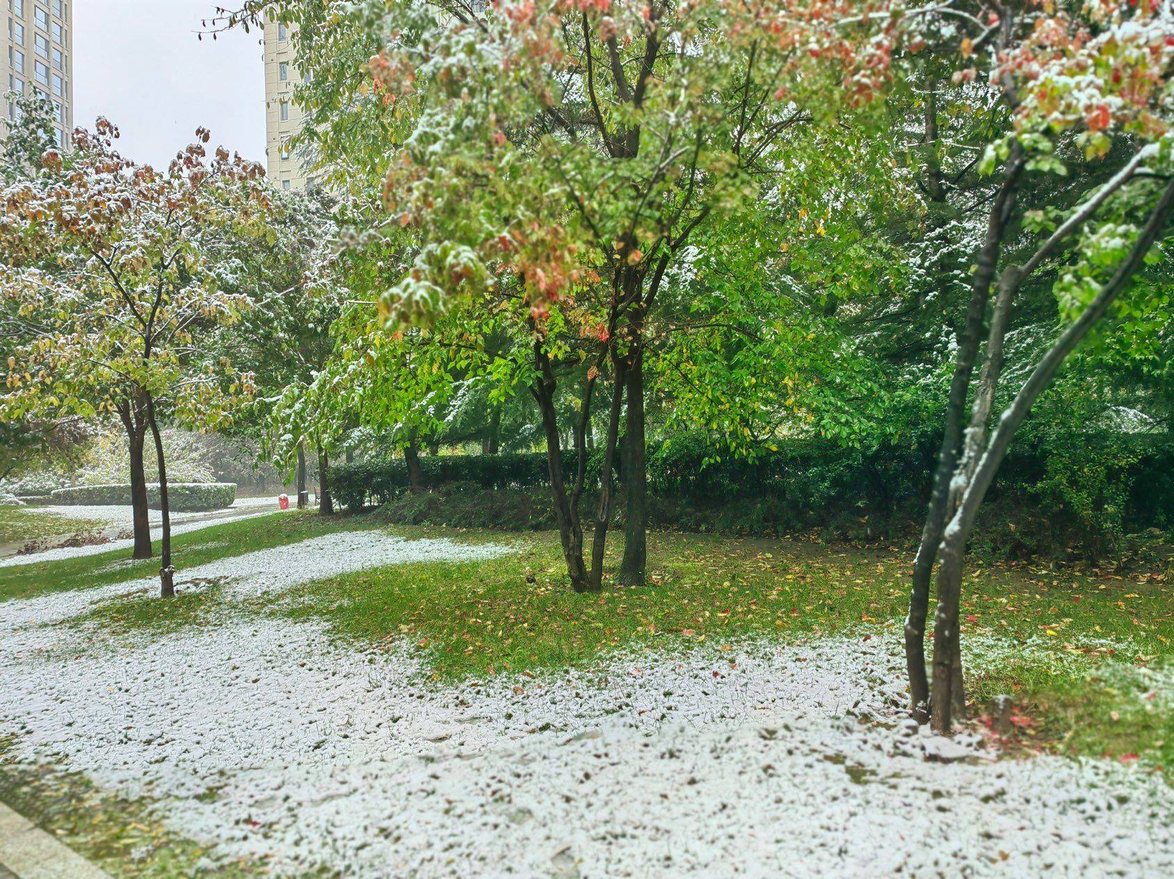 西安的第一场雪❄️