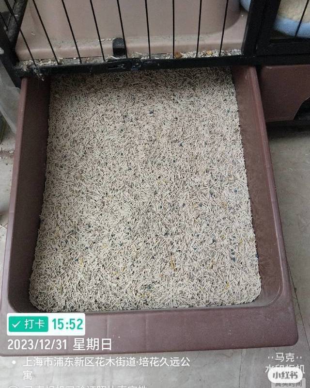 上门喂养_3