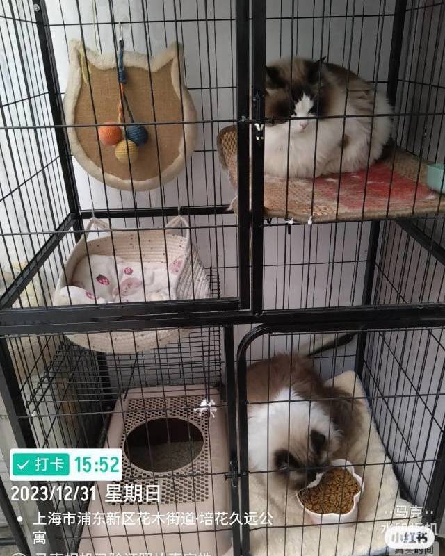 上门喂养_4
