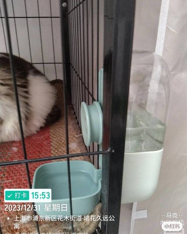 上门喂养_0