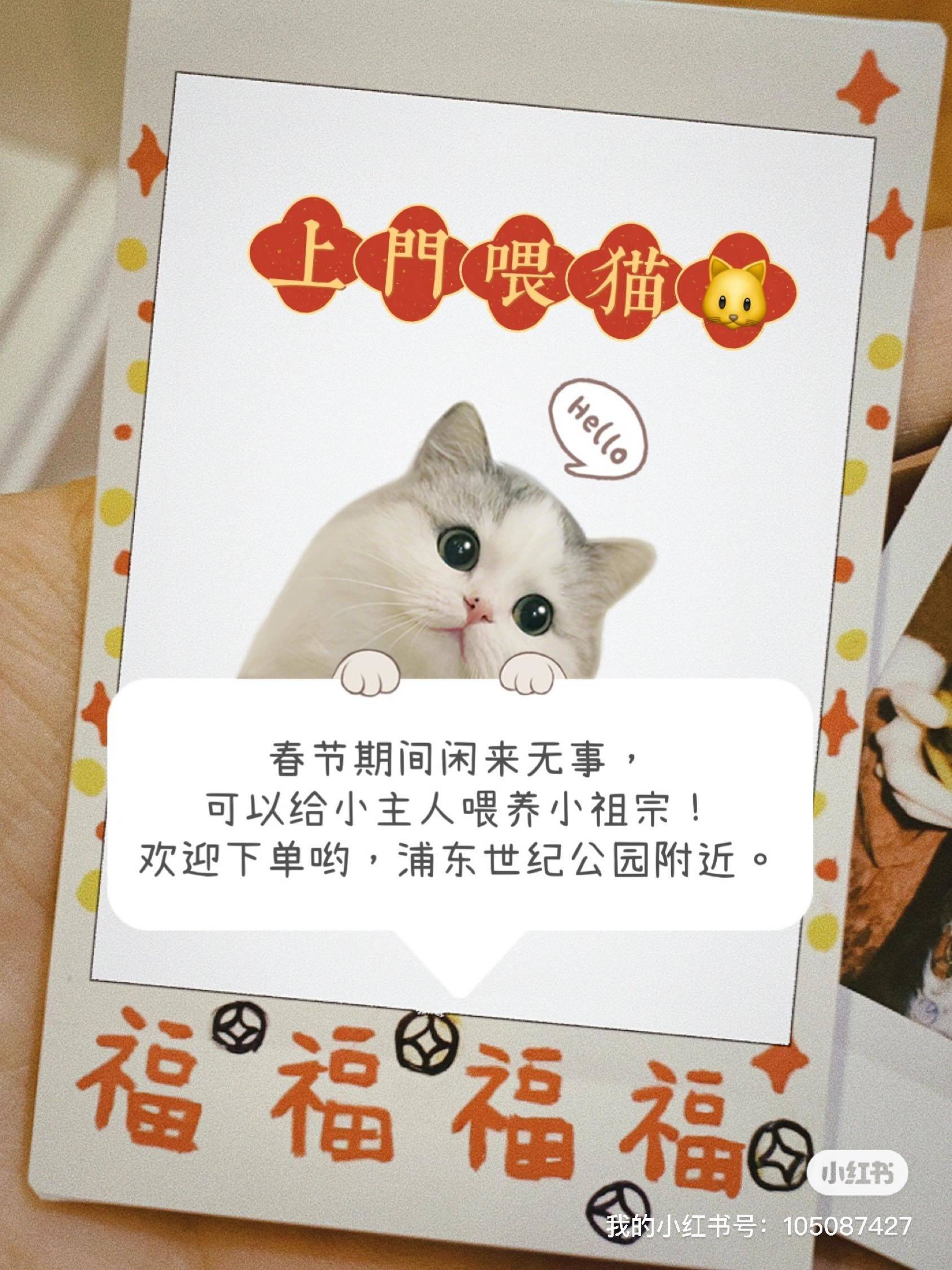 2024春节期间承接上门喂养毛孩子