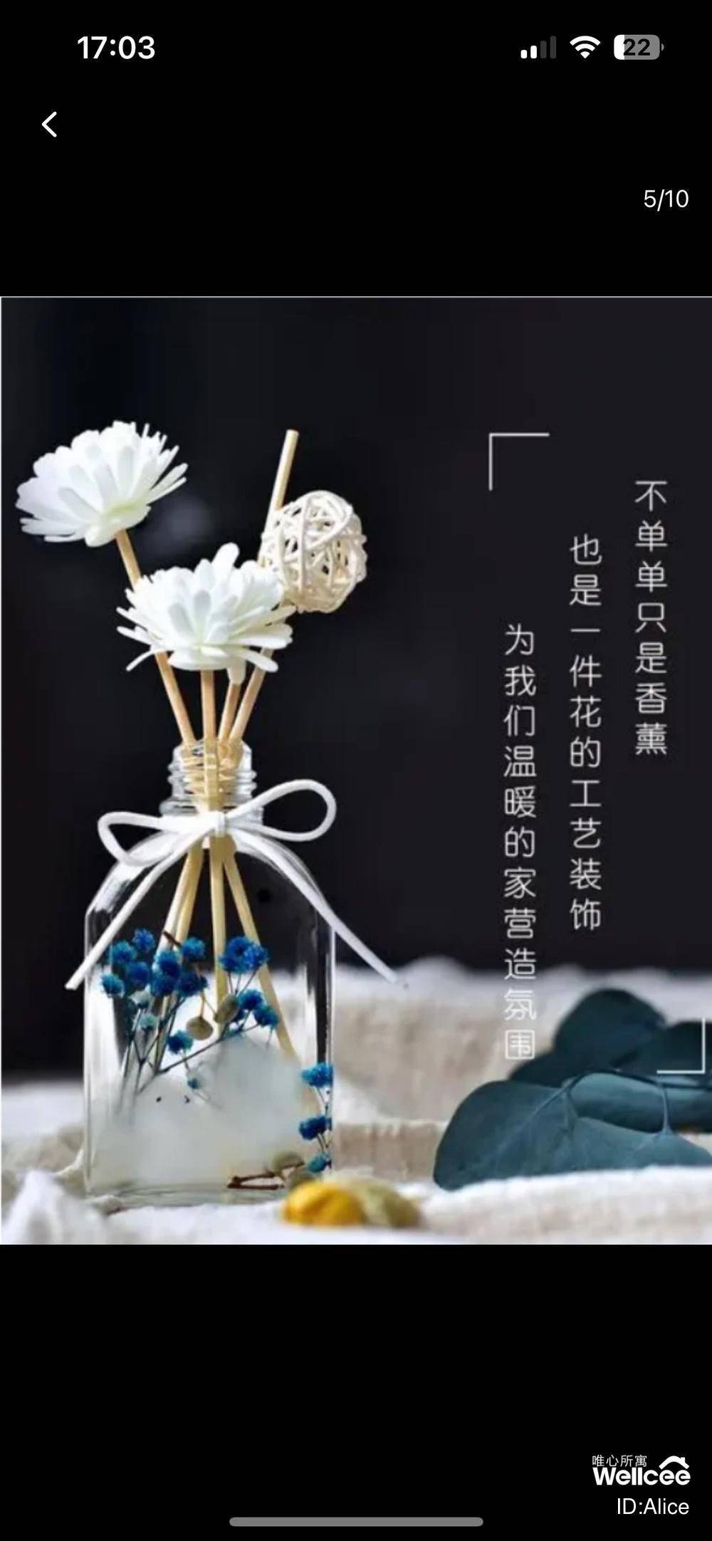 DIY 香薰 X10！Perfume F_1