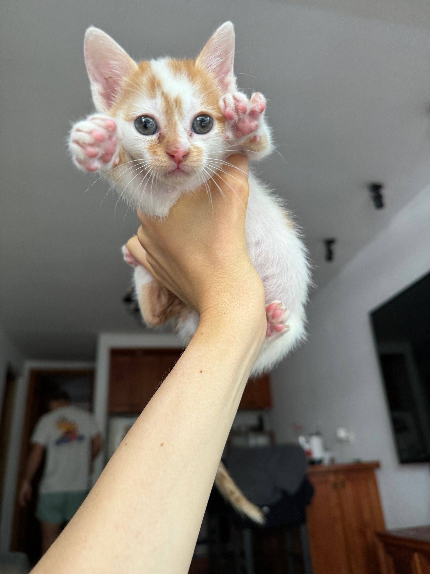 Ready to be adopted!