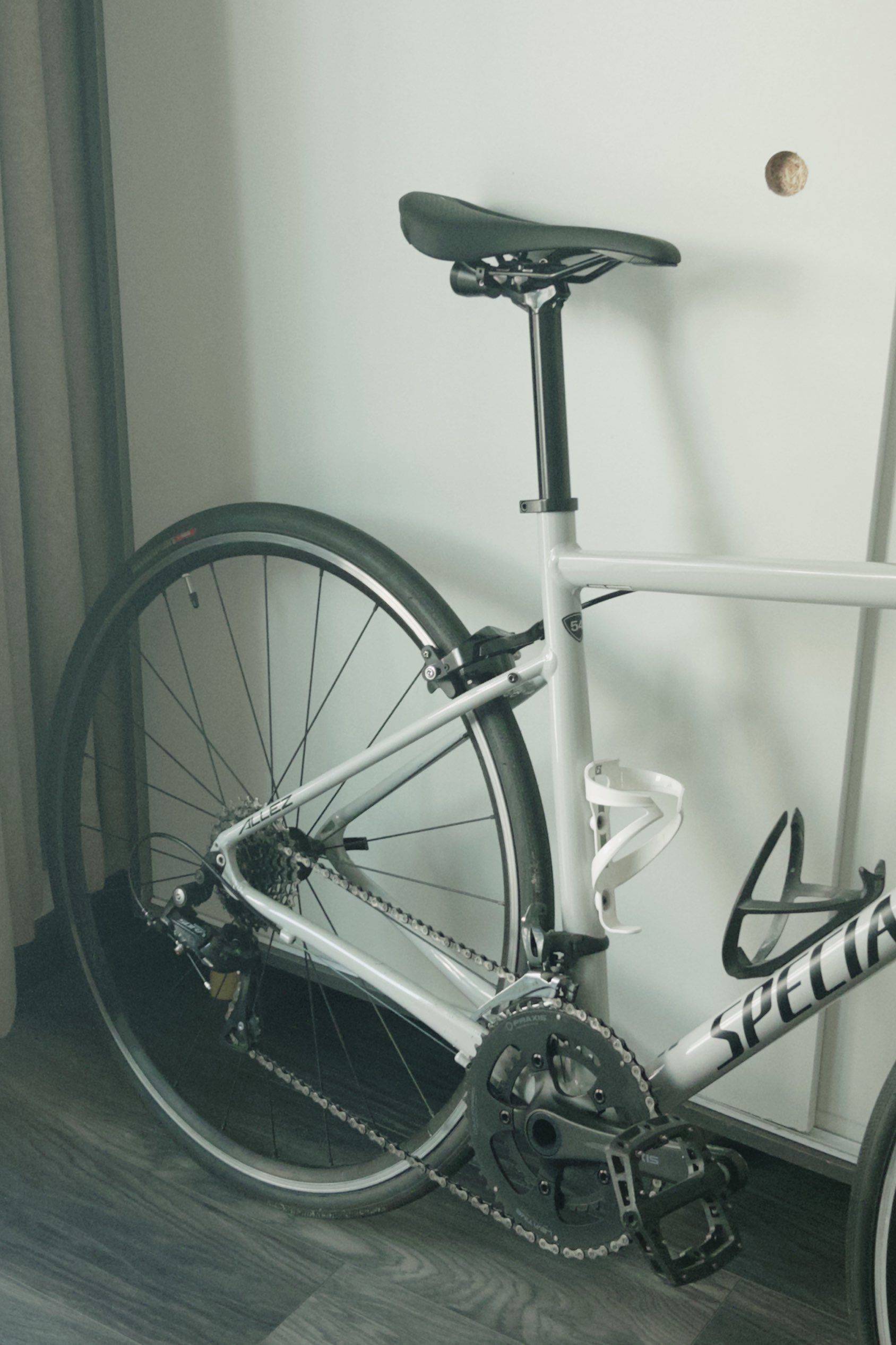 SPECIALIZED闪电 allez _1