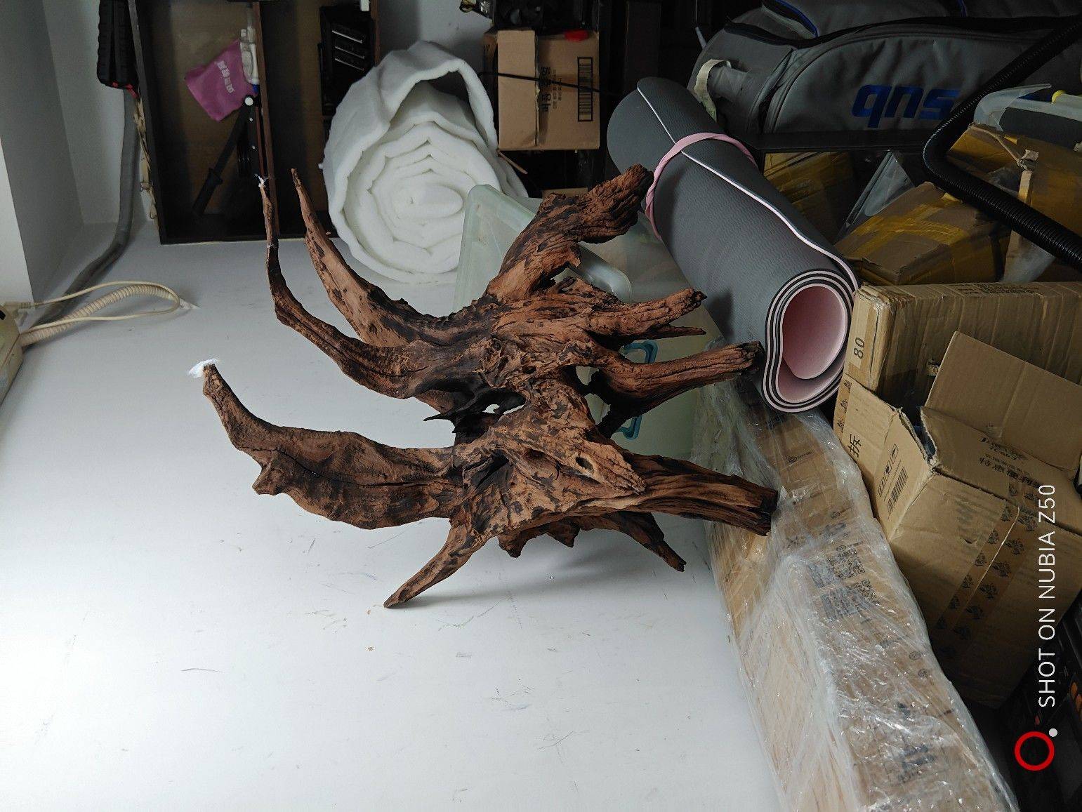 fishtanks and fishes_4