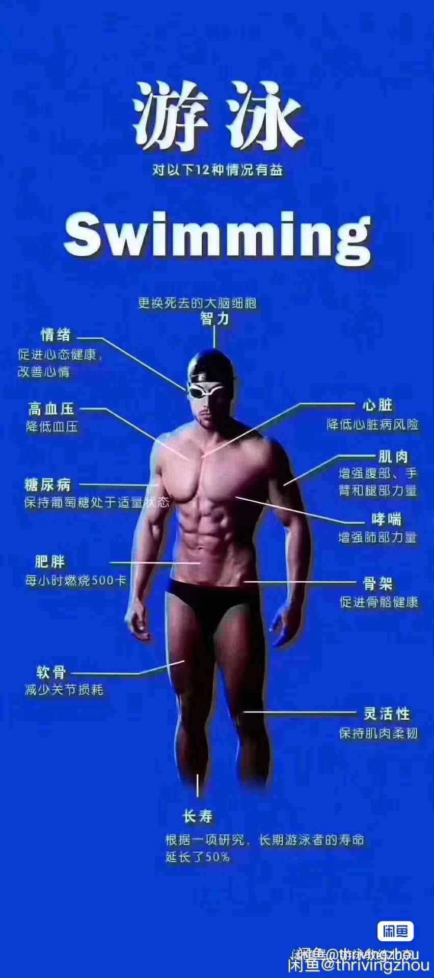 我~游泳健将级别，会~做饭烹饪，羽毛球�