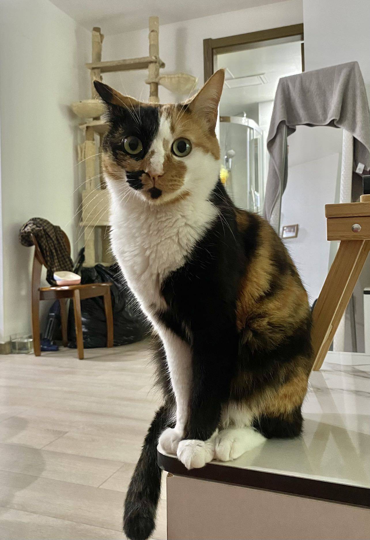 An adult , 3 y.o. gi_2