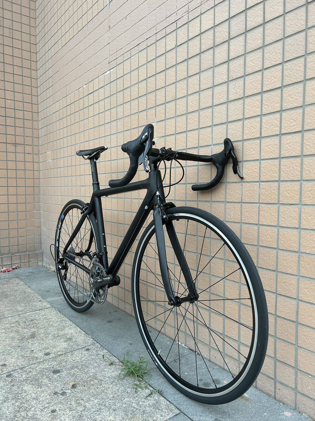 Carbon fiber road bi_1