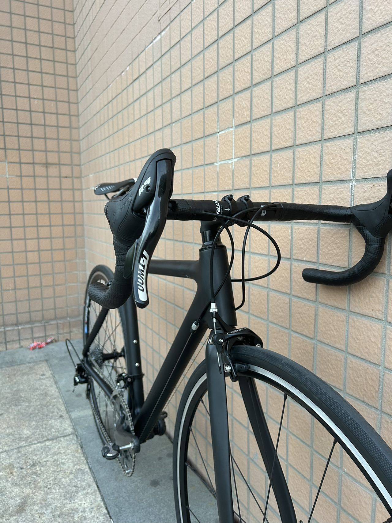 Carbon fiber road bi_2