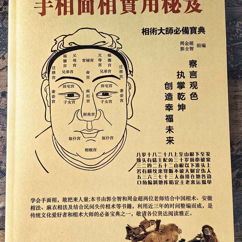 专业手面相老师学习内部学习资料,杨公真传