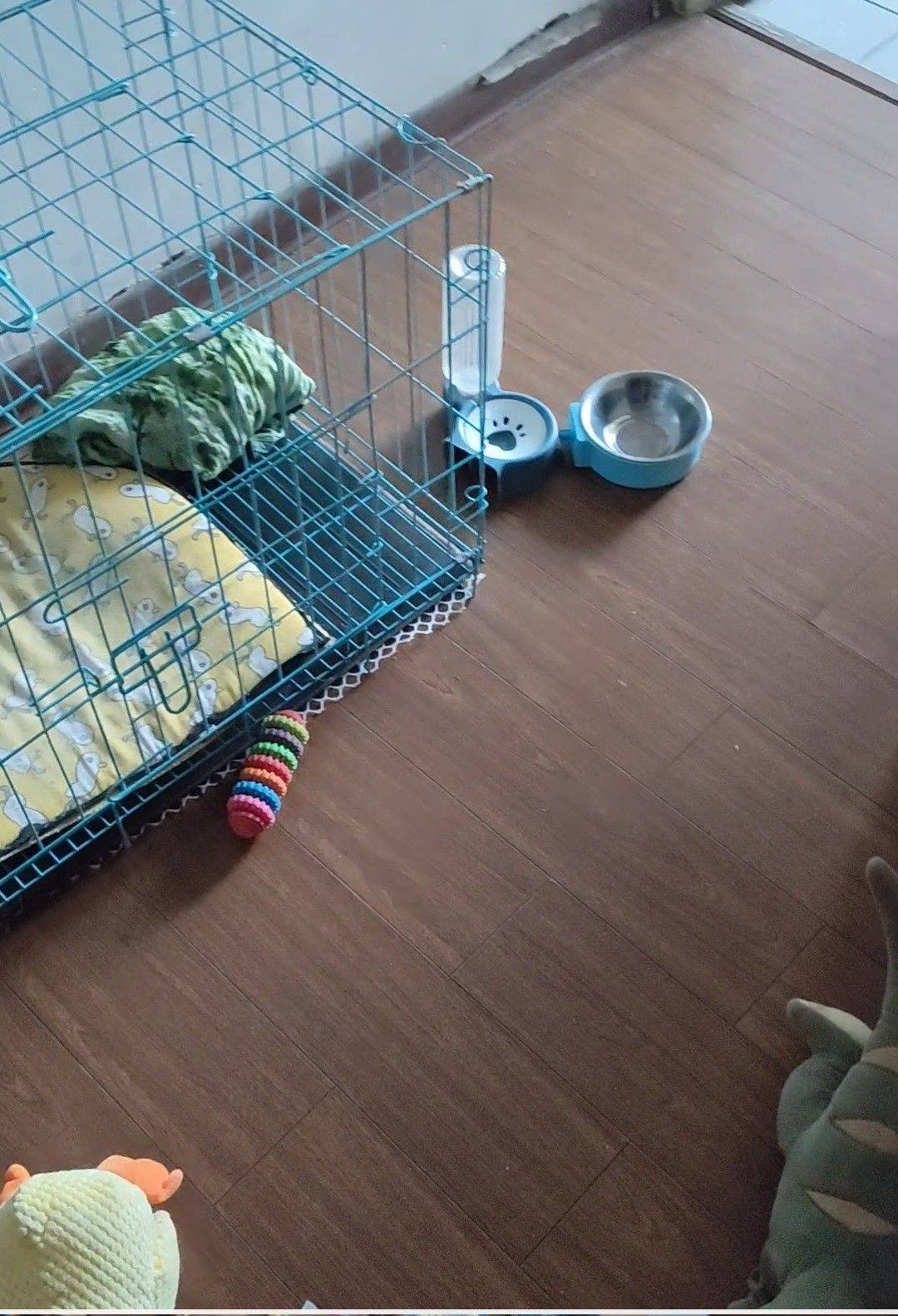 为鼓楼街附近小型狗🐶提供寄放服务！_1
