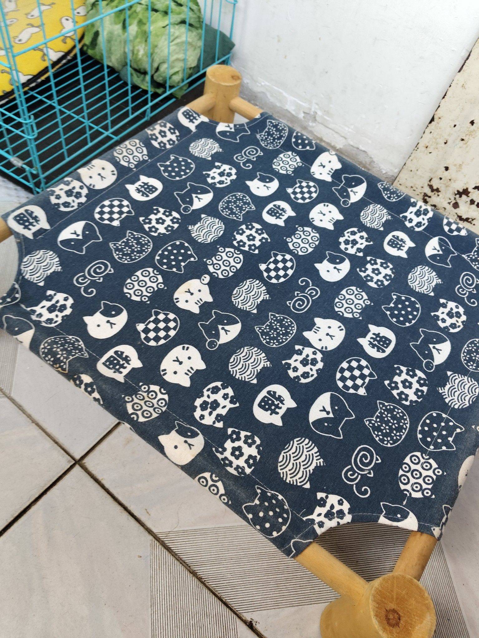 为鼓楼街附近小型狗🐶提供寄放服务！_3