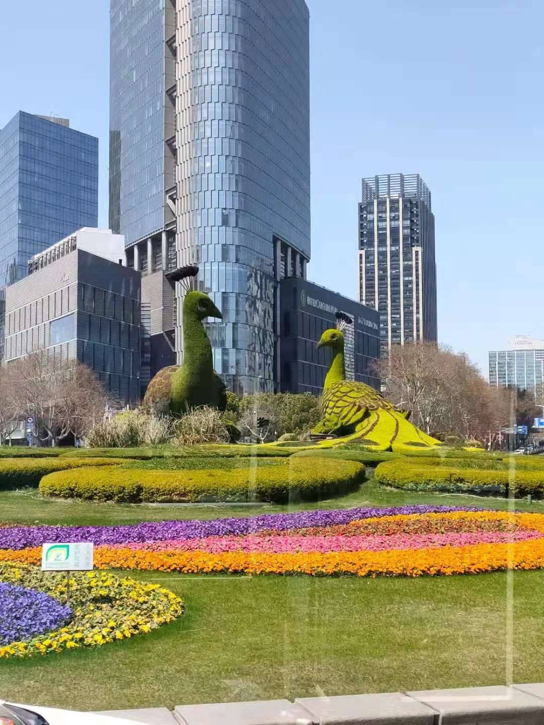 本人在幼儿园和社区助老中心服务过，现从事