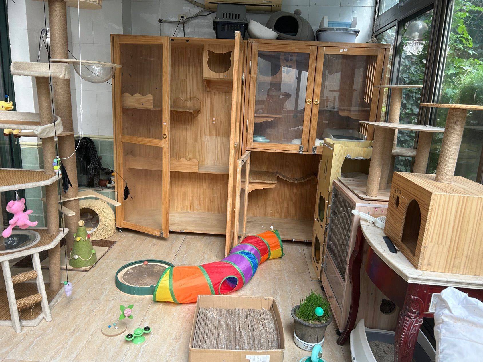 宠物寄养，上门喂养_2