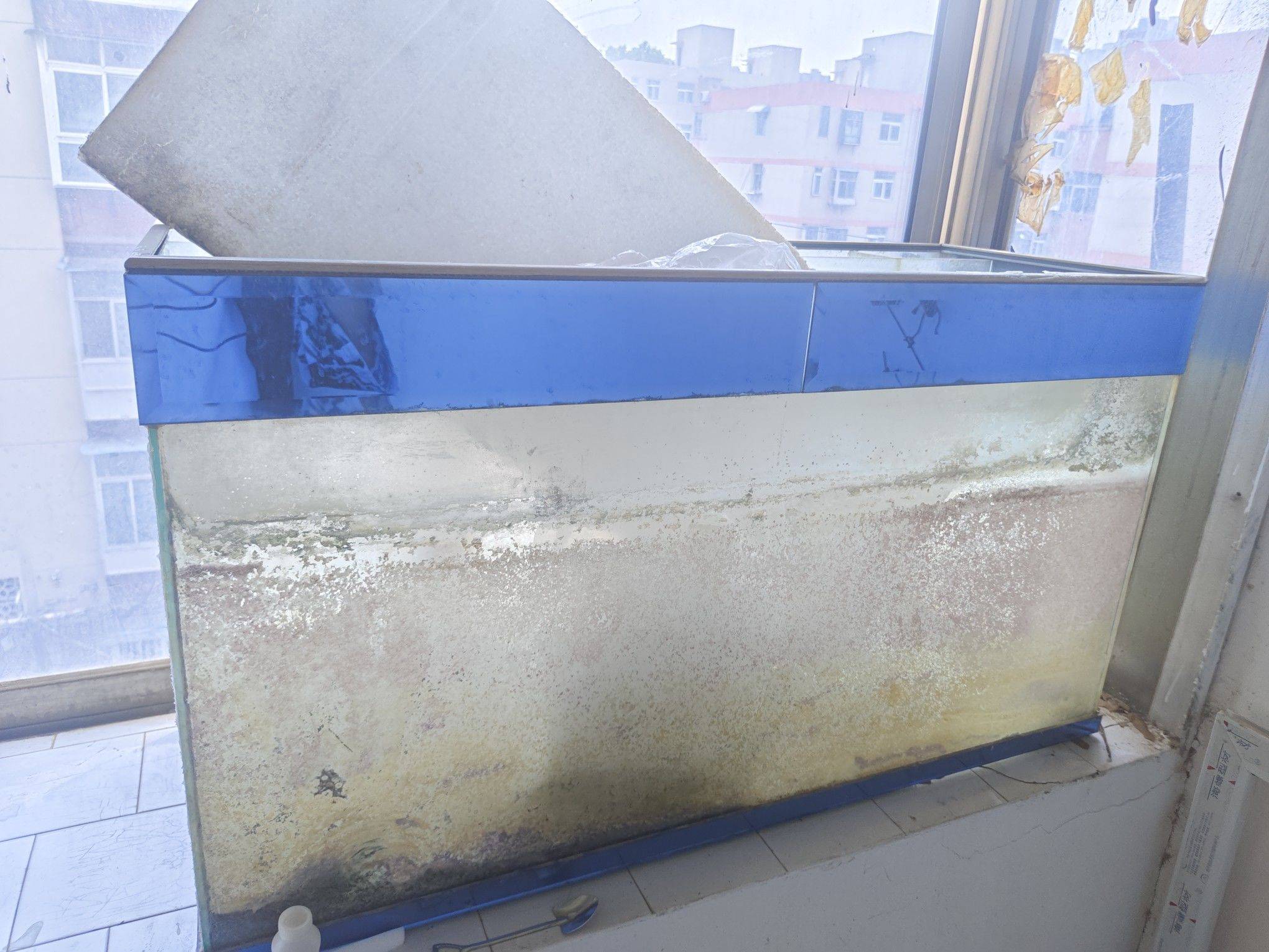 1米×40×60的老式大鱼缸，里面底沙加_2
