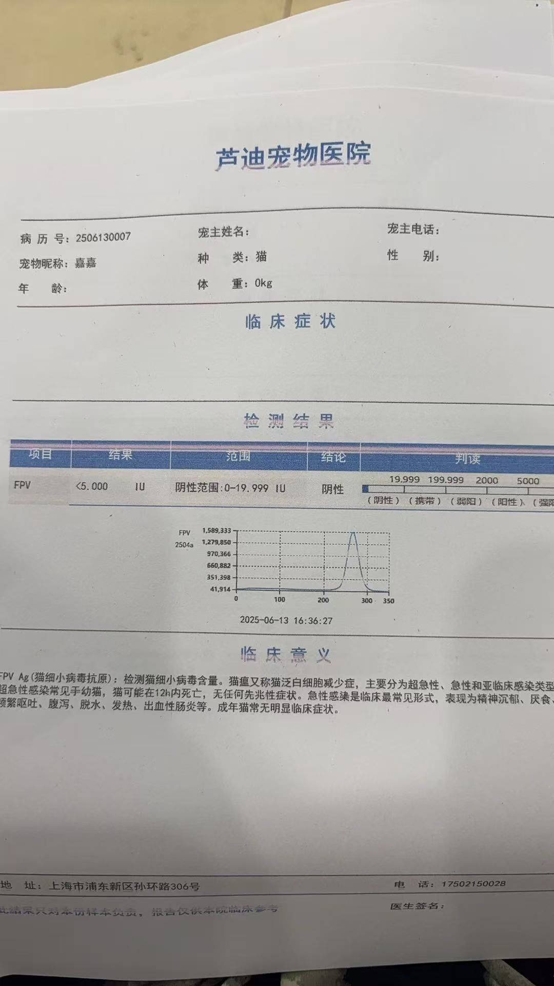 被救助的玳瑁妹妹_1