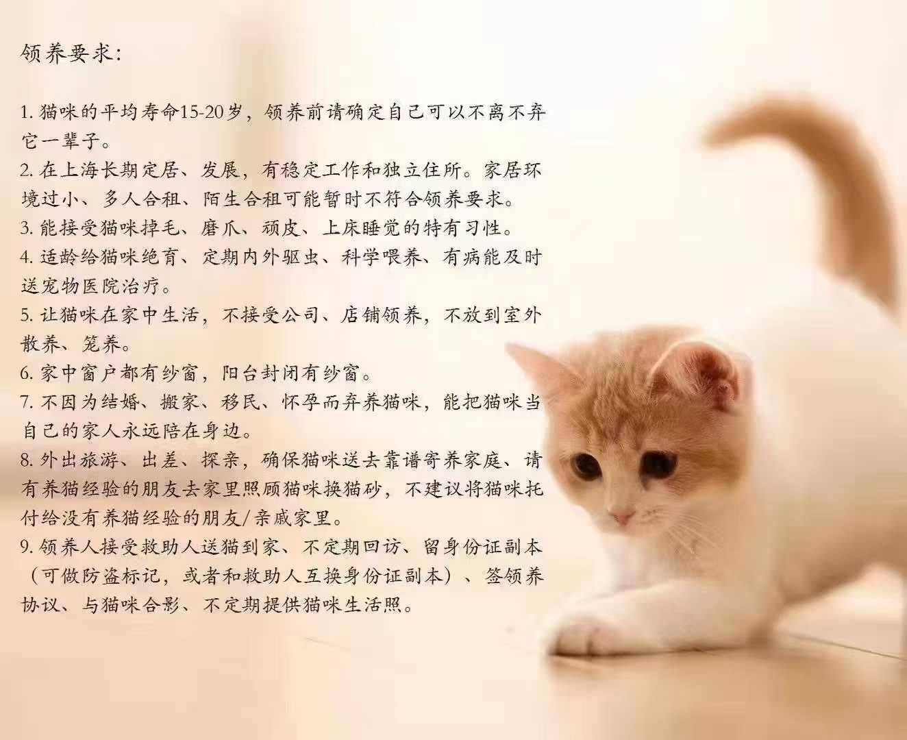 Baby girl #小猫_3