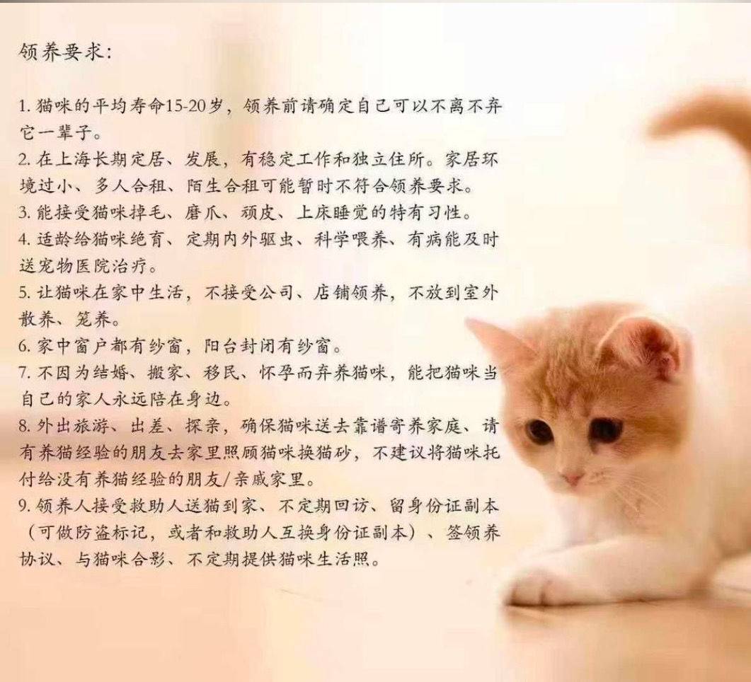 Baby girl #小猫