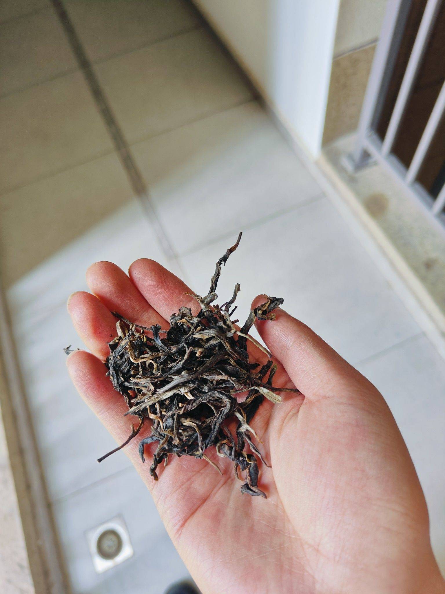 出普洱茶10箱，昆明自提！